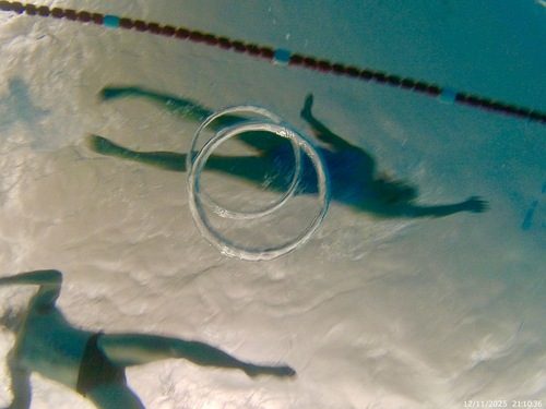 Einschwimmen