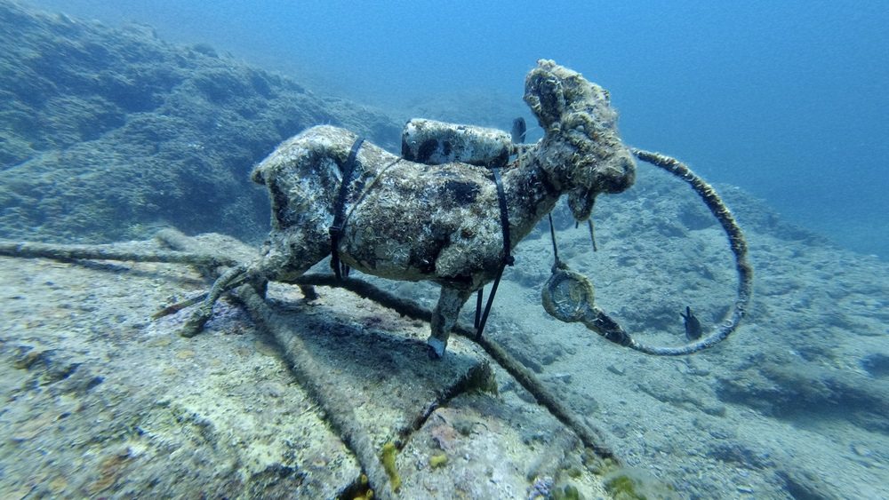 Der Steinbock